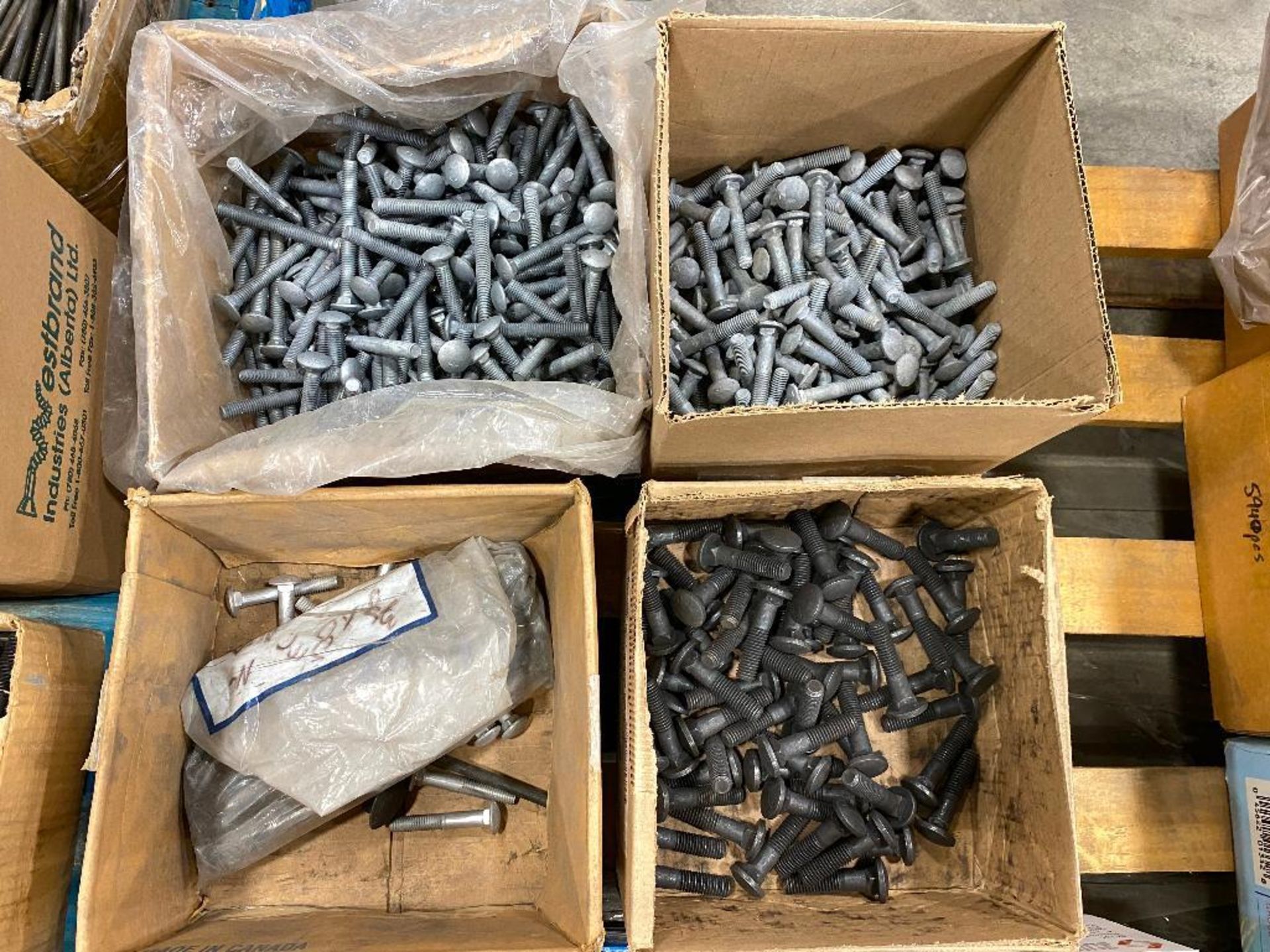 Lot of (11) Boxes of Asst. Carriage Bolts and Step Bolts, etc. - Image 3 of 3
