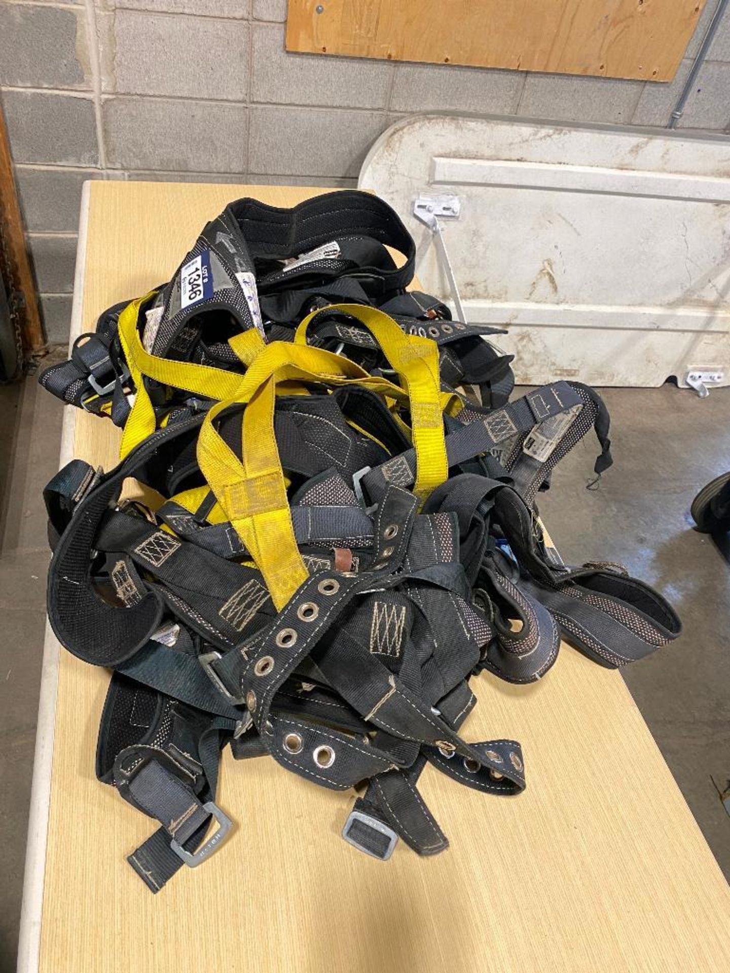 Lot of (10) Asst. Harnesses - Image 3 of 4