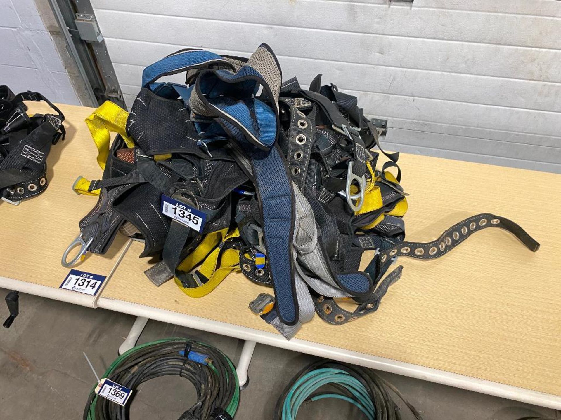 Lot of (10) Asst. Harnesses - Image 3 of 3