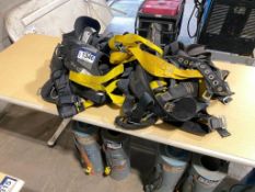 Lot of (10) Asst. Harnesses