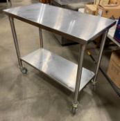 42" X 21" STAINLESS STEEL WORK TABLE