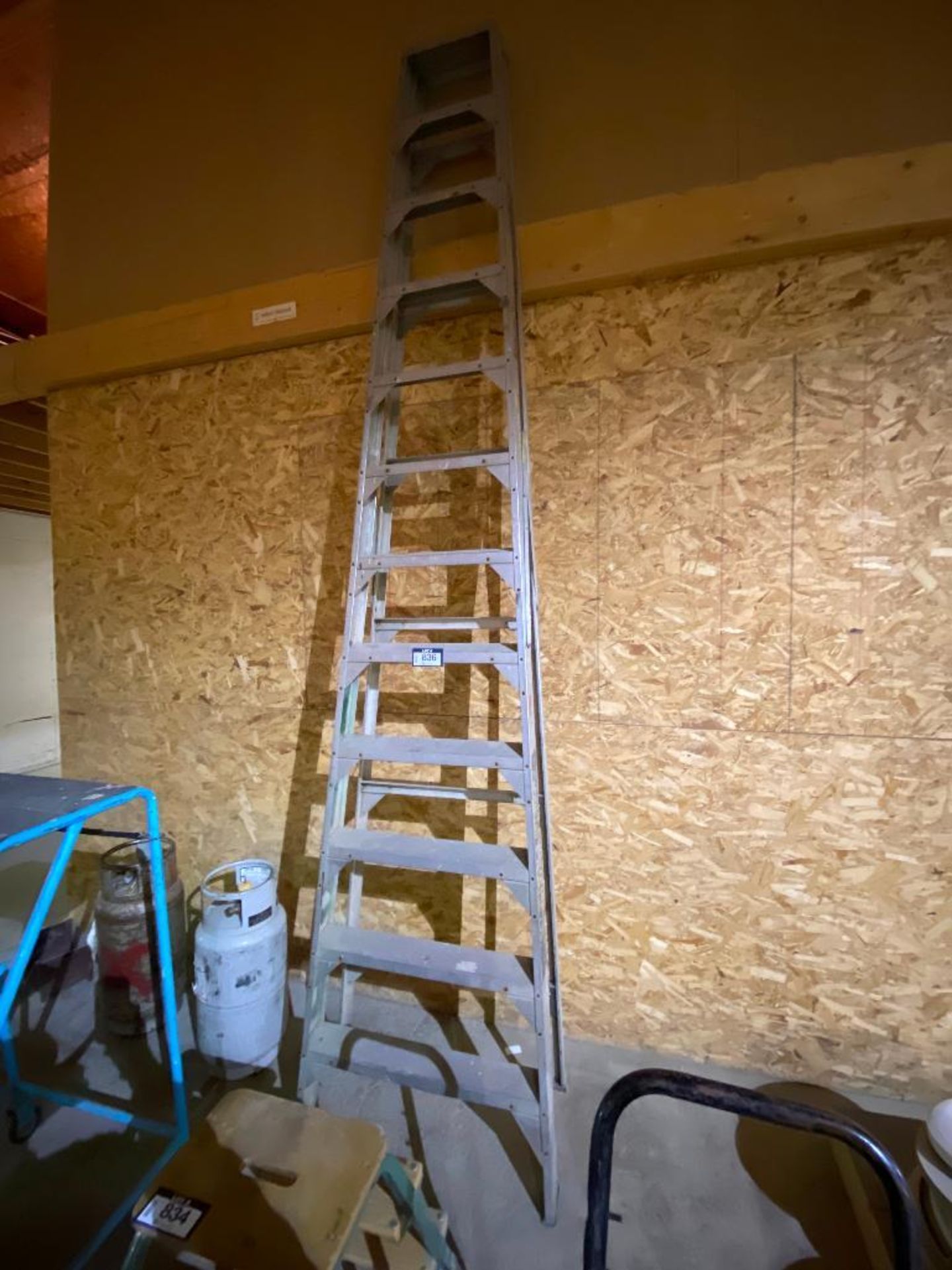 Aluminum 12' Step Ladder