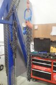 Spartan 3/8"x8' 2-leg Spider Lifting Chain.