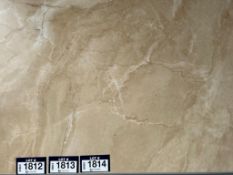 Lot of Approx. (14) Boxes- 336sq ft Ferrara Matte ST5 Golden 24x48 Porcelain Tile.