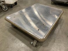 29.5" X 22.5"MOBILE STAINLESS STEEL PLATFORM