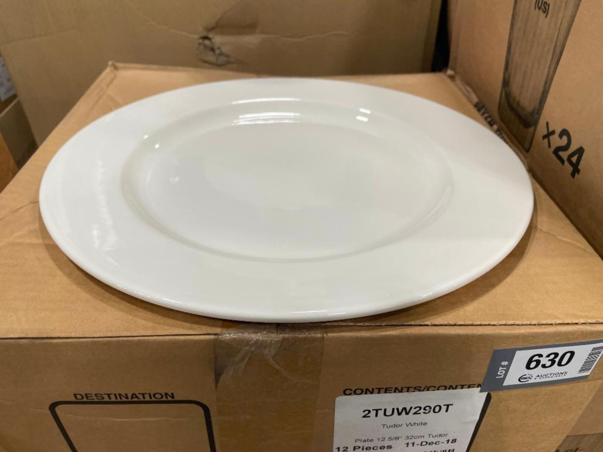 3 CASES OF DUDSON TUDOR WHITE WIDE RIM PLATES 12" - 12/CASE, MADE IN ENGLAND