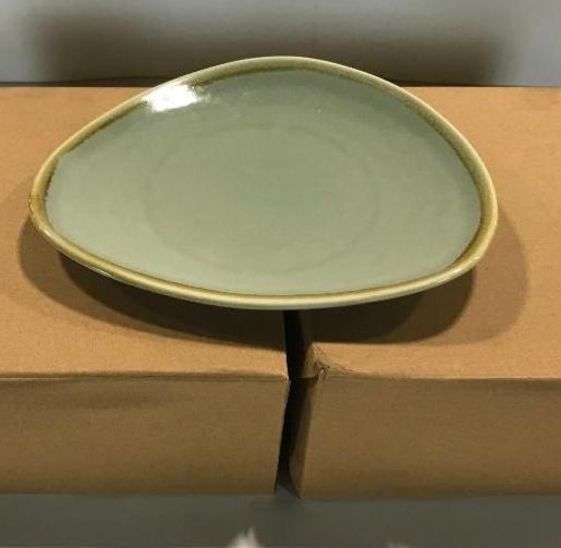 2 CASES OF TERRASTONE 8 7/8" SAGE GREEN PLATE - 18/CASE, ARCOROC - NEW