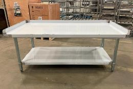 60" X 30" STAINLESS STEEL EQUIPMENT STAND