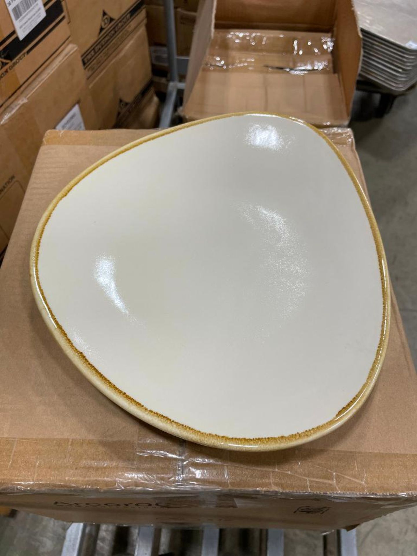 CASE OF TERRASTONE 11" WHITE PLATE - 12/CASE, ARCOROC - NEW - Image 3 of 4