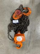 Westward 3-Ton Chain Hoist