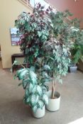 Lot of (3) Artificial Plants.