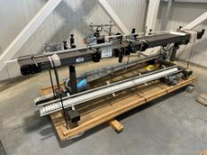 10' CTM Labeling System Conveyor & Flex Link Conveyors
