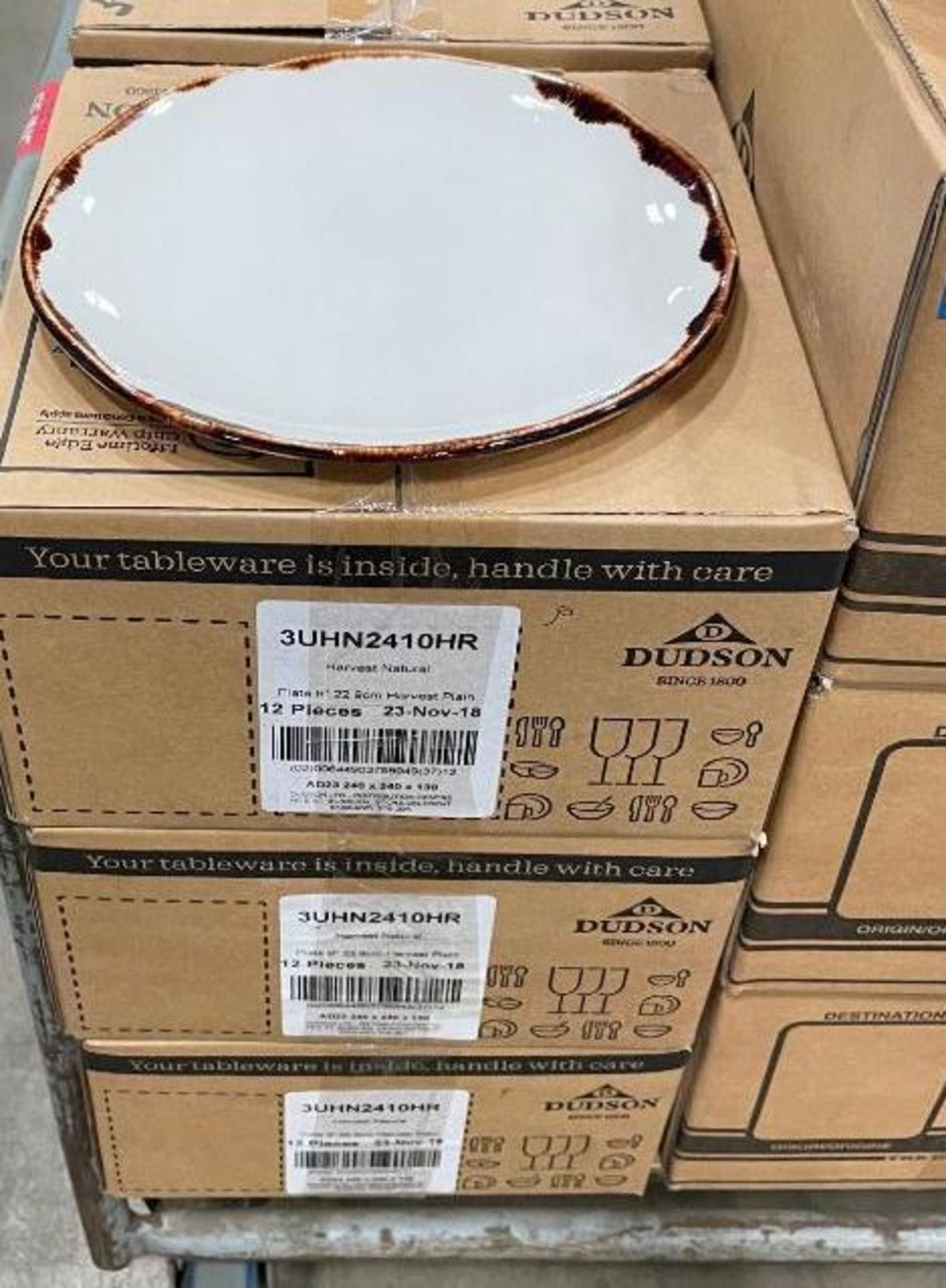 6 CASES OF DUDSON HARVEST NATURAL 9" PLATES - 12/ CASE - MADE IN ENGLAND