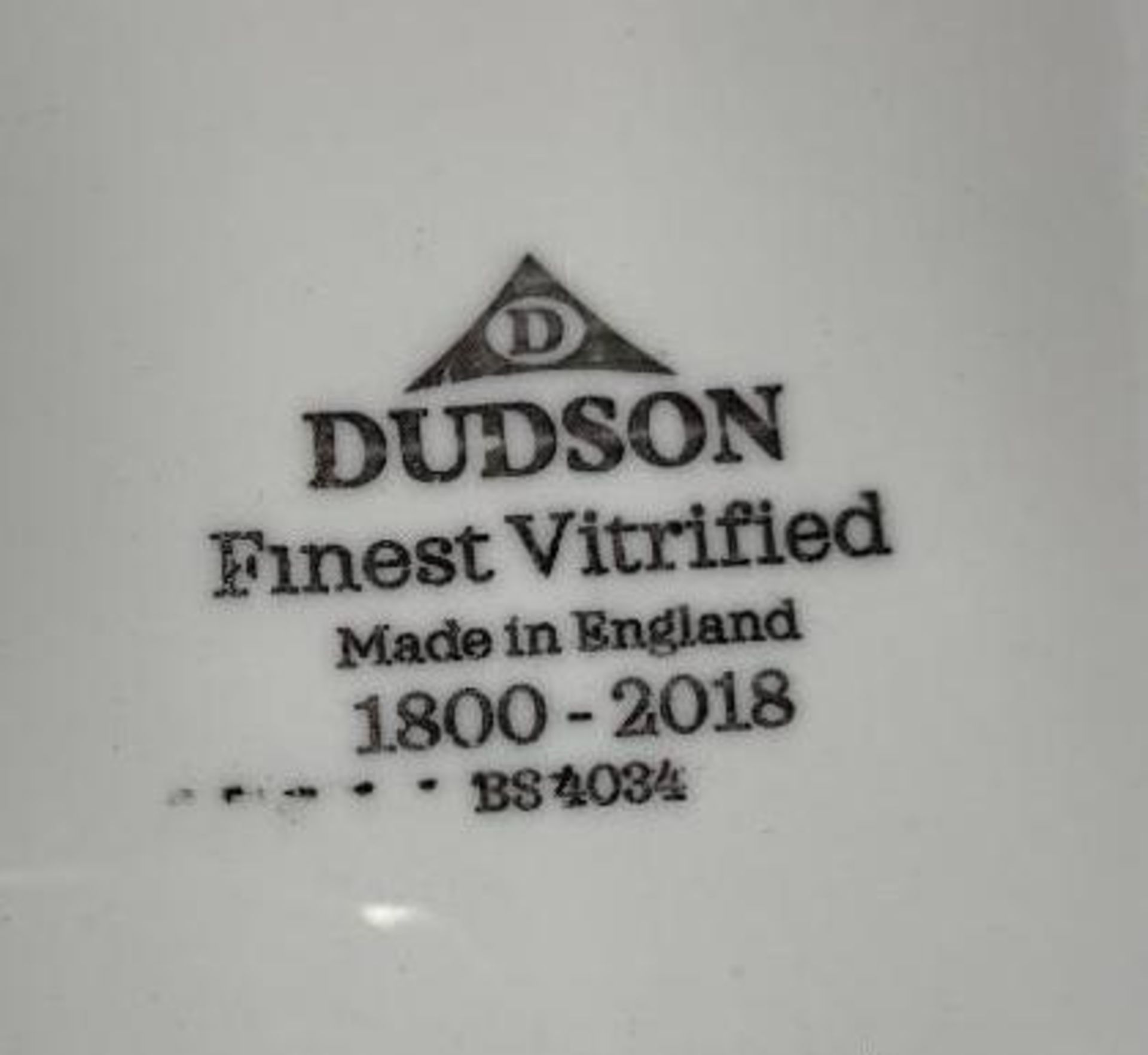 6 CASES OF DUDSON HARVEST NATURAL 9" PLATES - 12/ CASE - MADE IN ENGLAND - Image 5 of 5