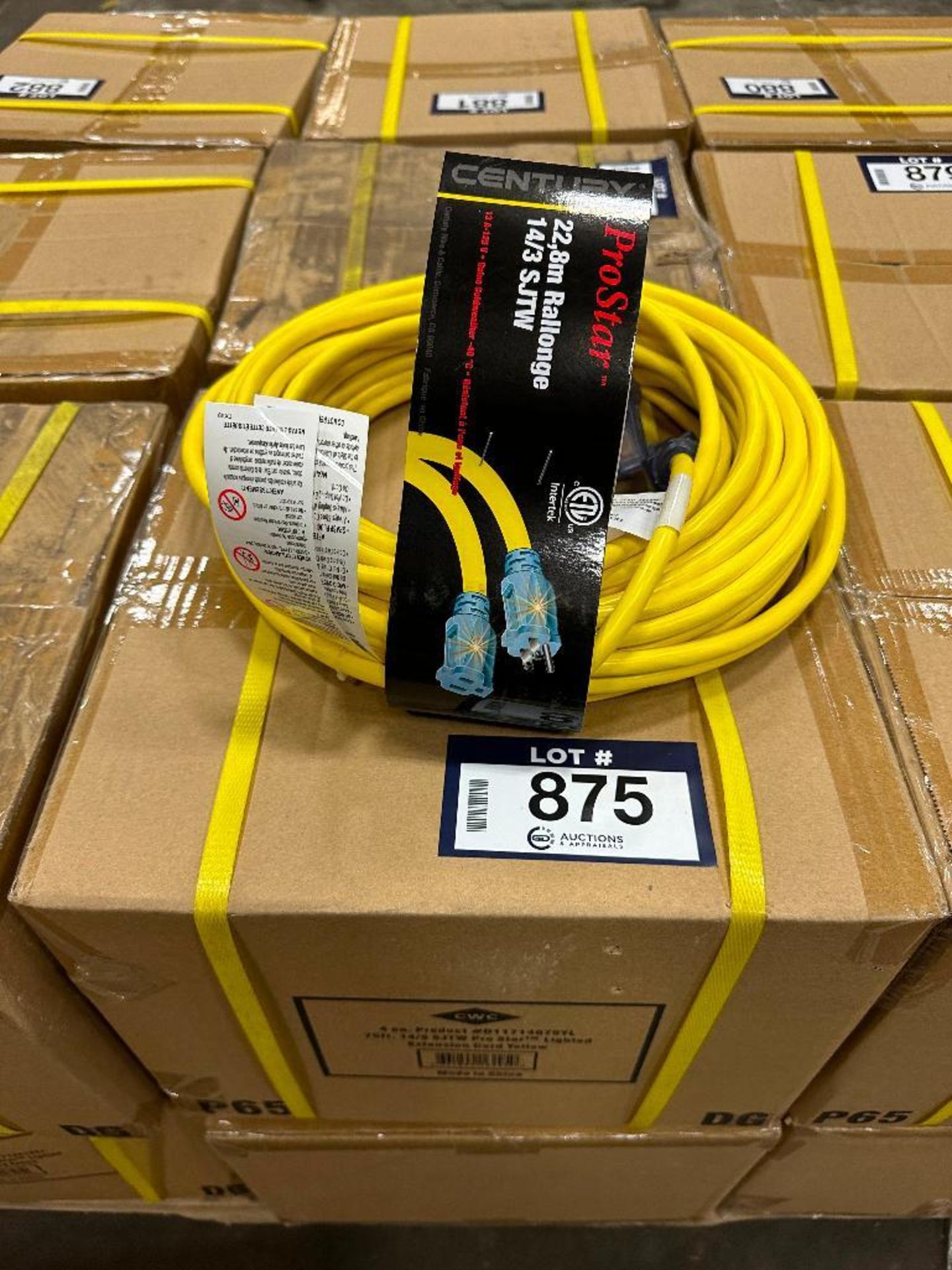 Lot of (8) 75' 14/3 Pro Star Lighted Extension Cords - Image 2 of 3