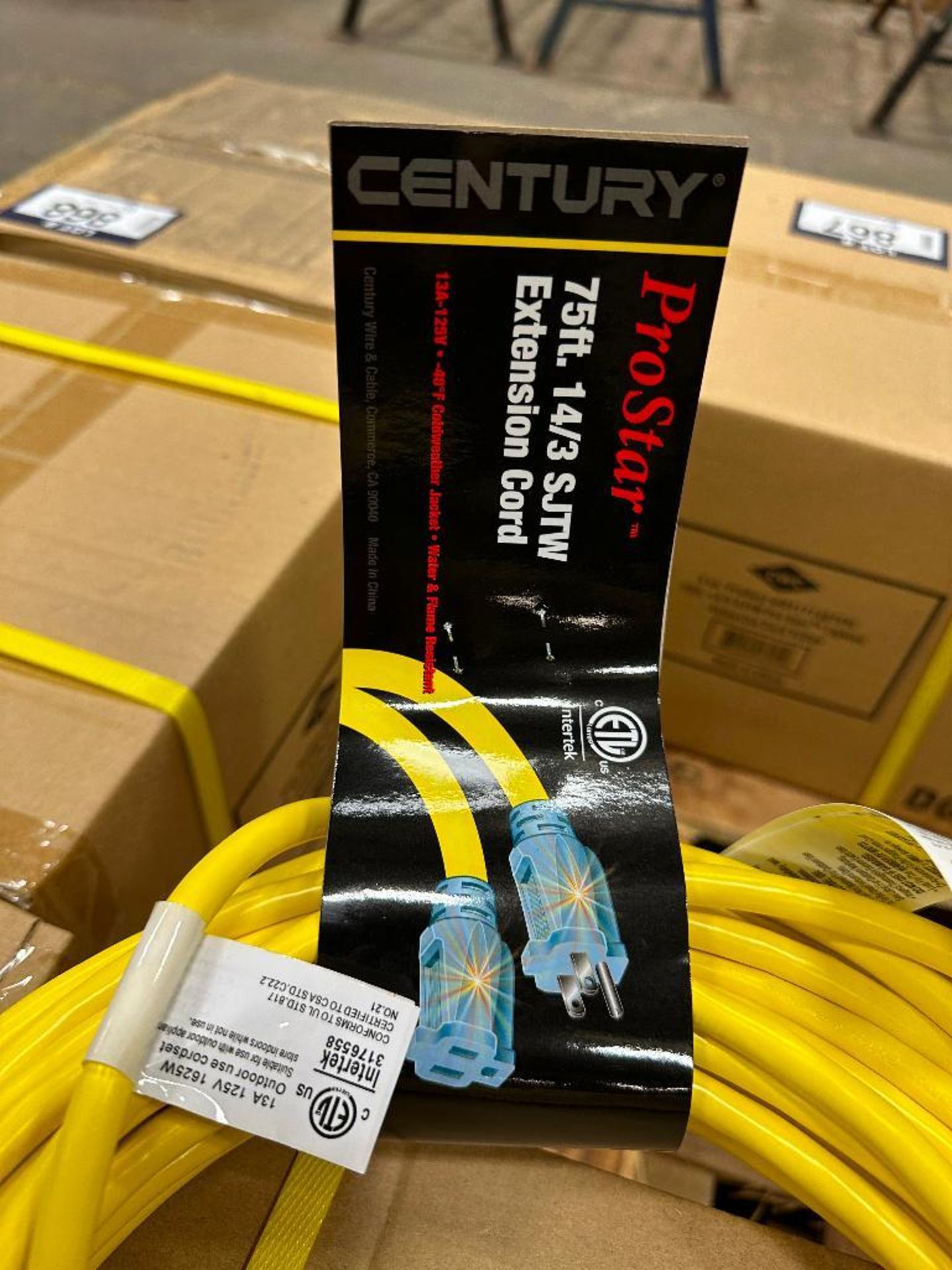 Box of (4) 75' 14/3 Pro Star Lighted Extension Cords - Image 4 of 5