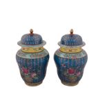 Coppia di vasi in porcellana decorata nei toni del blu, celeste e giallo con particolari motivi che 