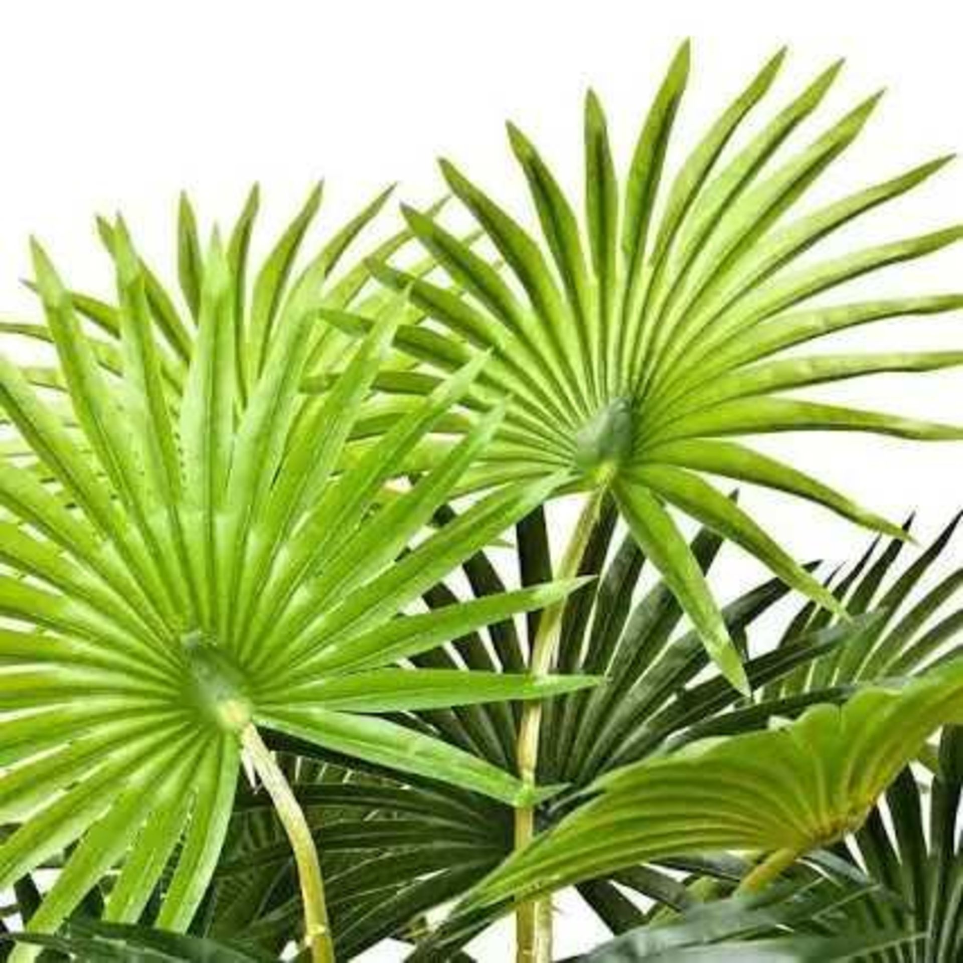 RRP £110 Boxed Greenbrokers Artificial 135Cm Palm Tree In Pot - Image 2 of 3