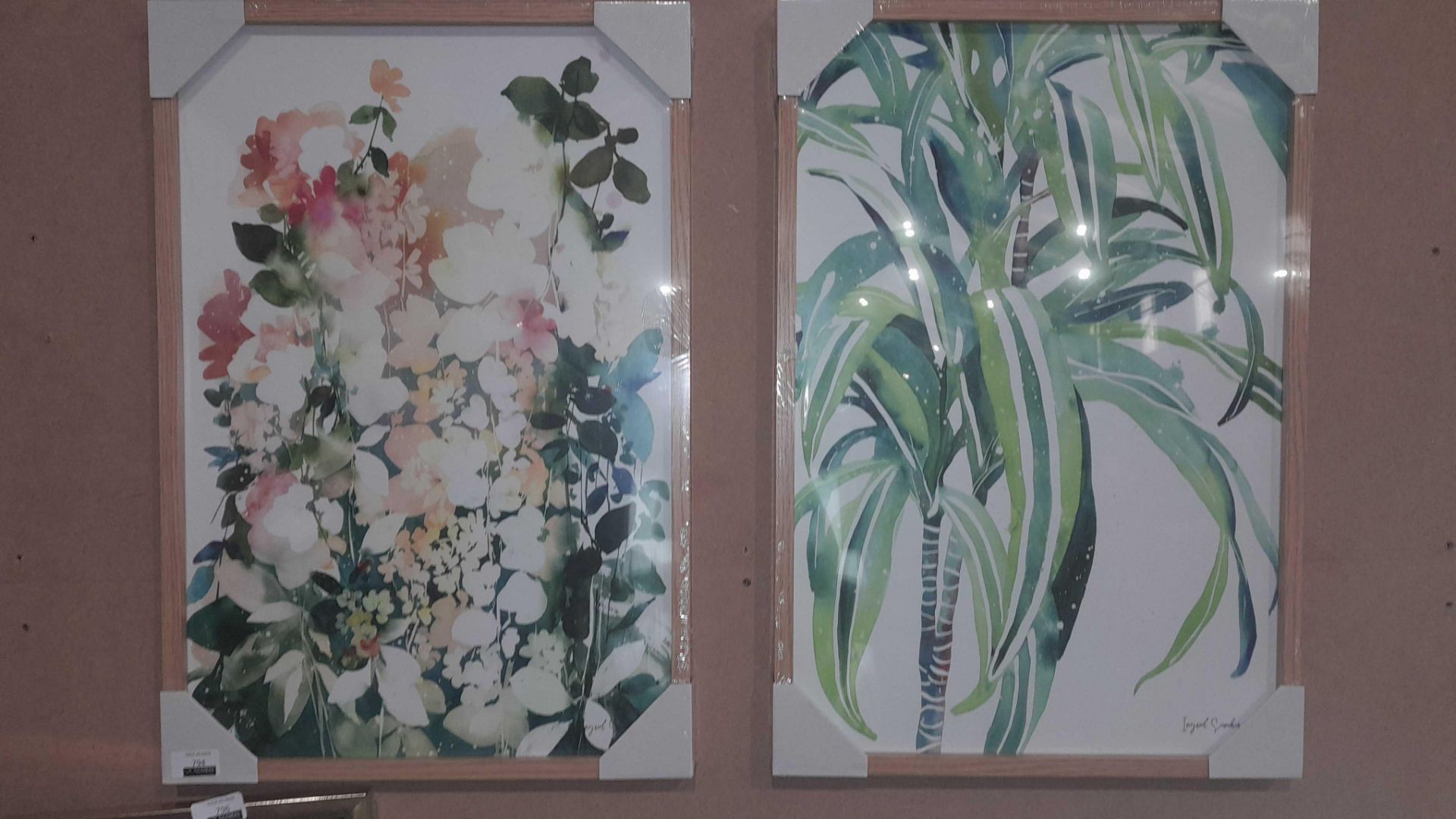 Rrp £150 Lot To Contain 2X Assorted John Lewis Sourced Prints, Soulful Yellow Garden & Corm Plant By - Image 3 of 3
