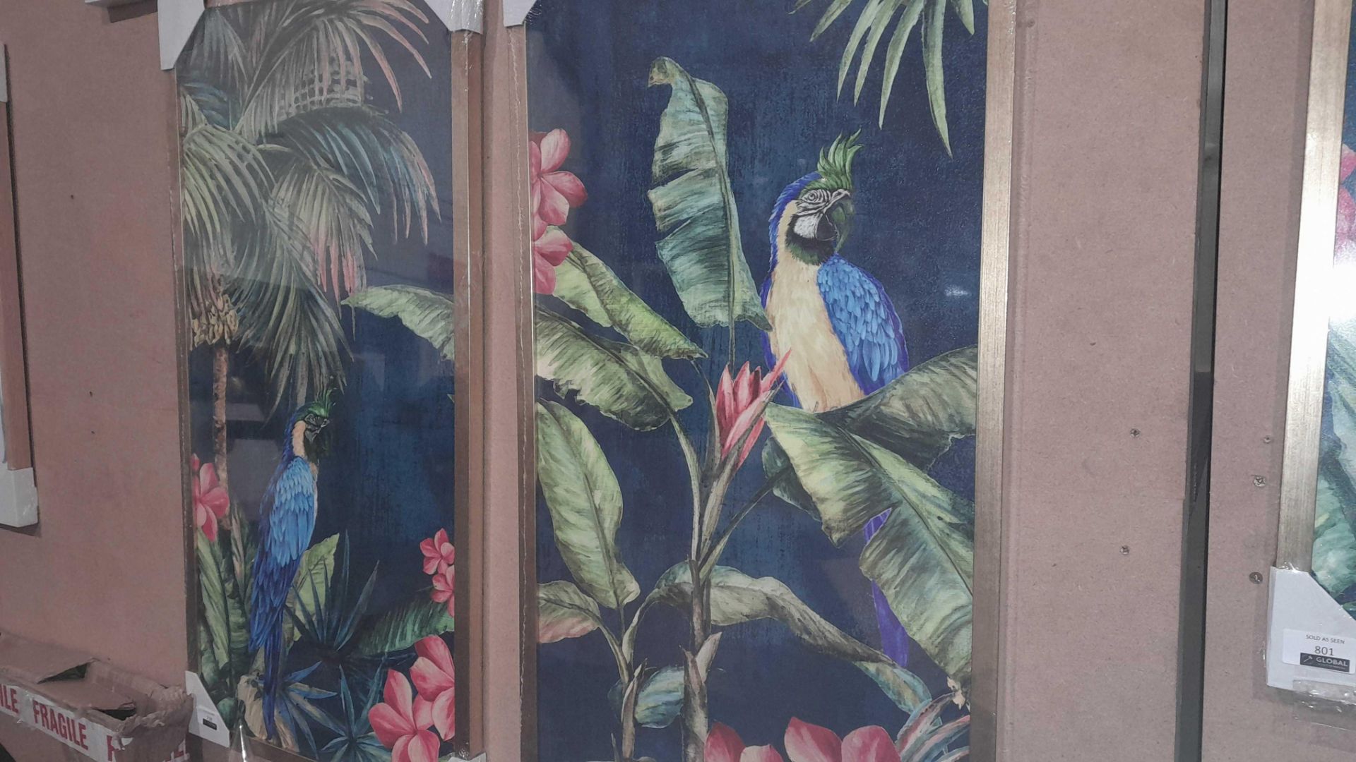 Rrp £105 Lot To Contain Tropical Birds Framed Pictures - Image 3 of 3