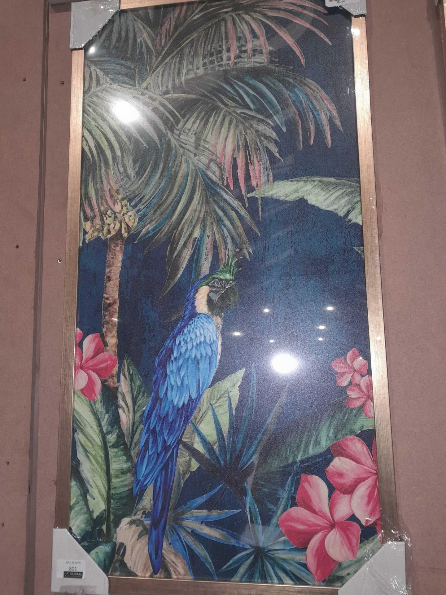 Rrp £105 Lot To Contain Tropical Birds 2 Framed Pictures - Image 3 of 3