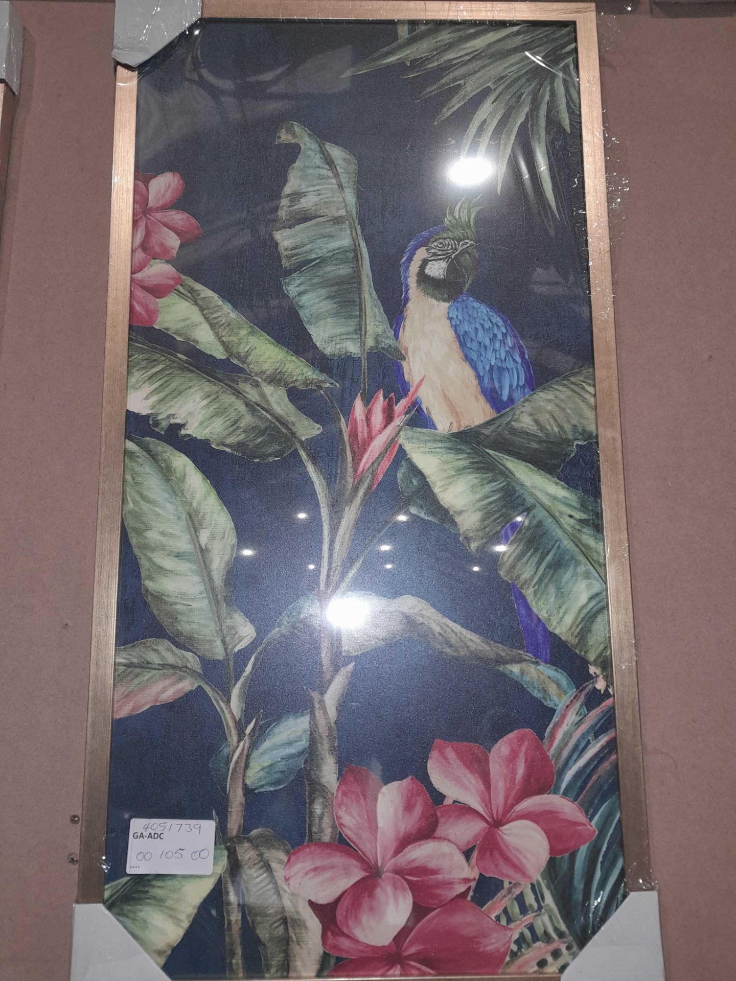 Rrp £105 Lot To Contain Tropical Birds 2 Framed Pictures - Image 2 of 3