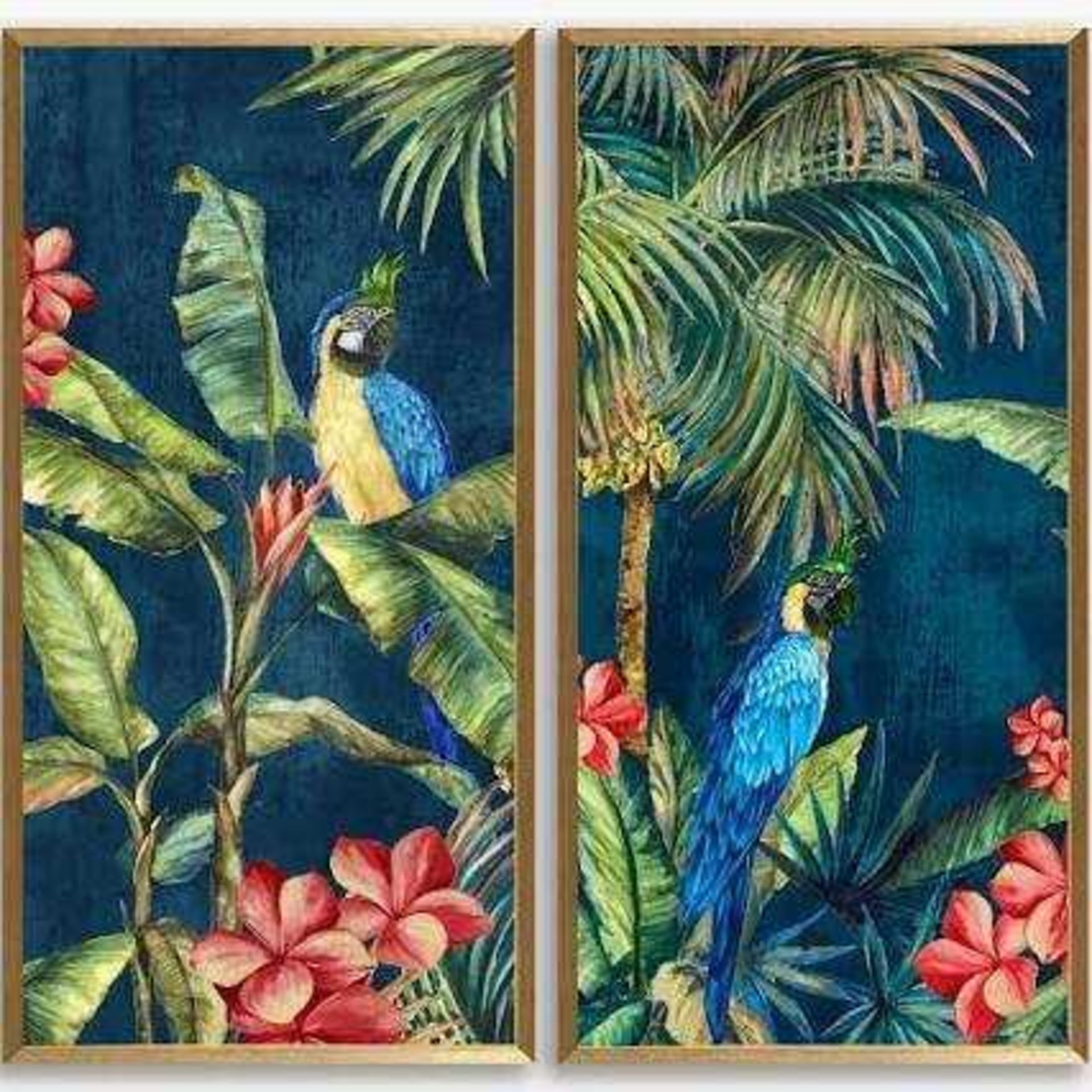 Rrp £105 Lot To Contain Tropical Birds 2 Framed Pictures