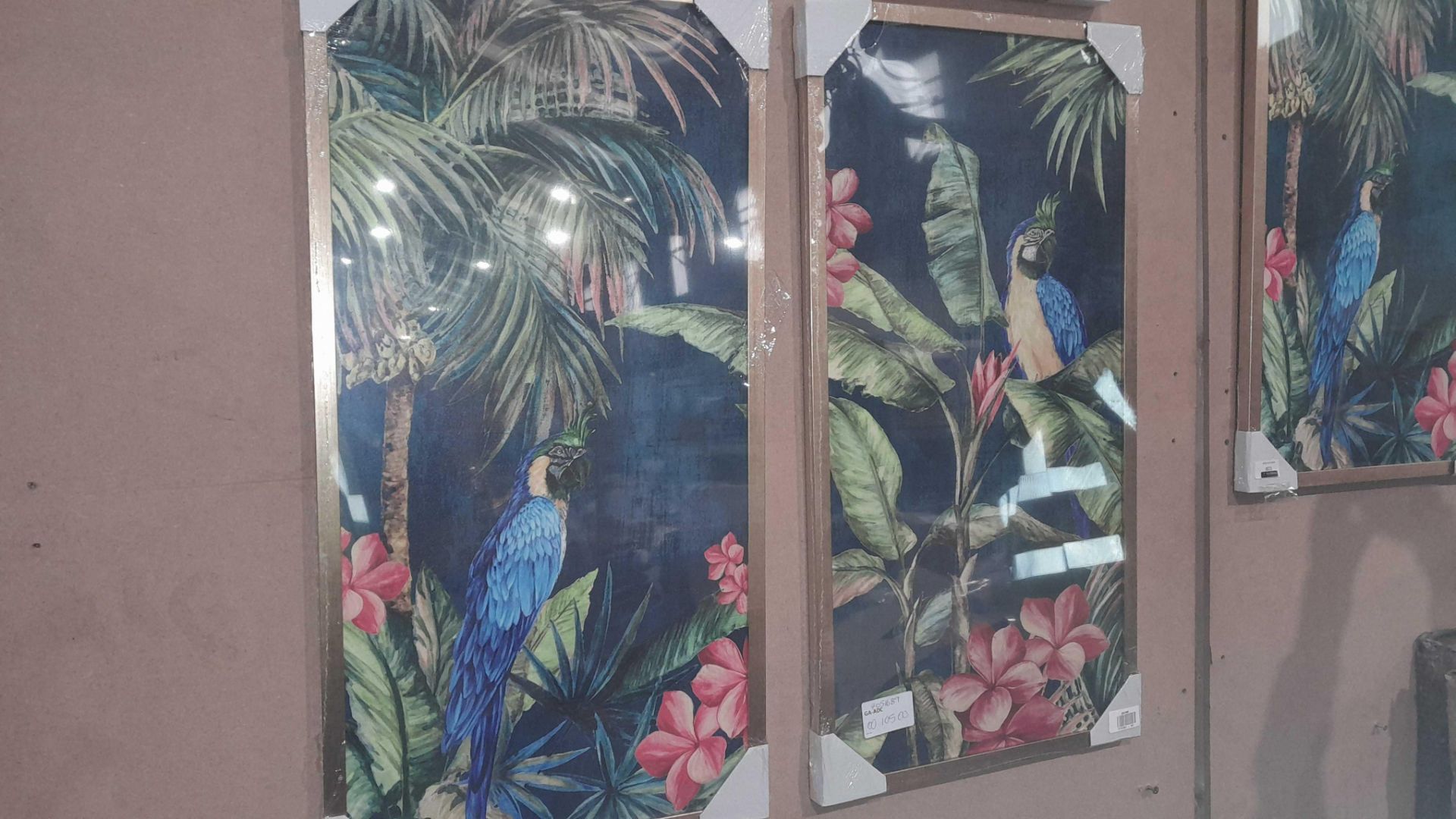 Rrp £105 Lot To Contain Tropical Birds Framed Pictures - Image 2 of 3