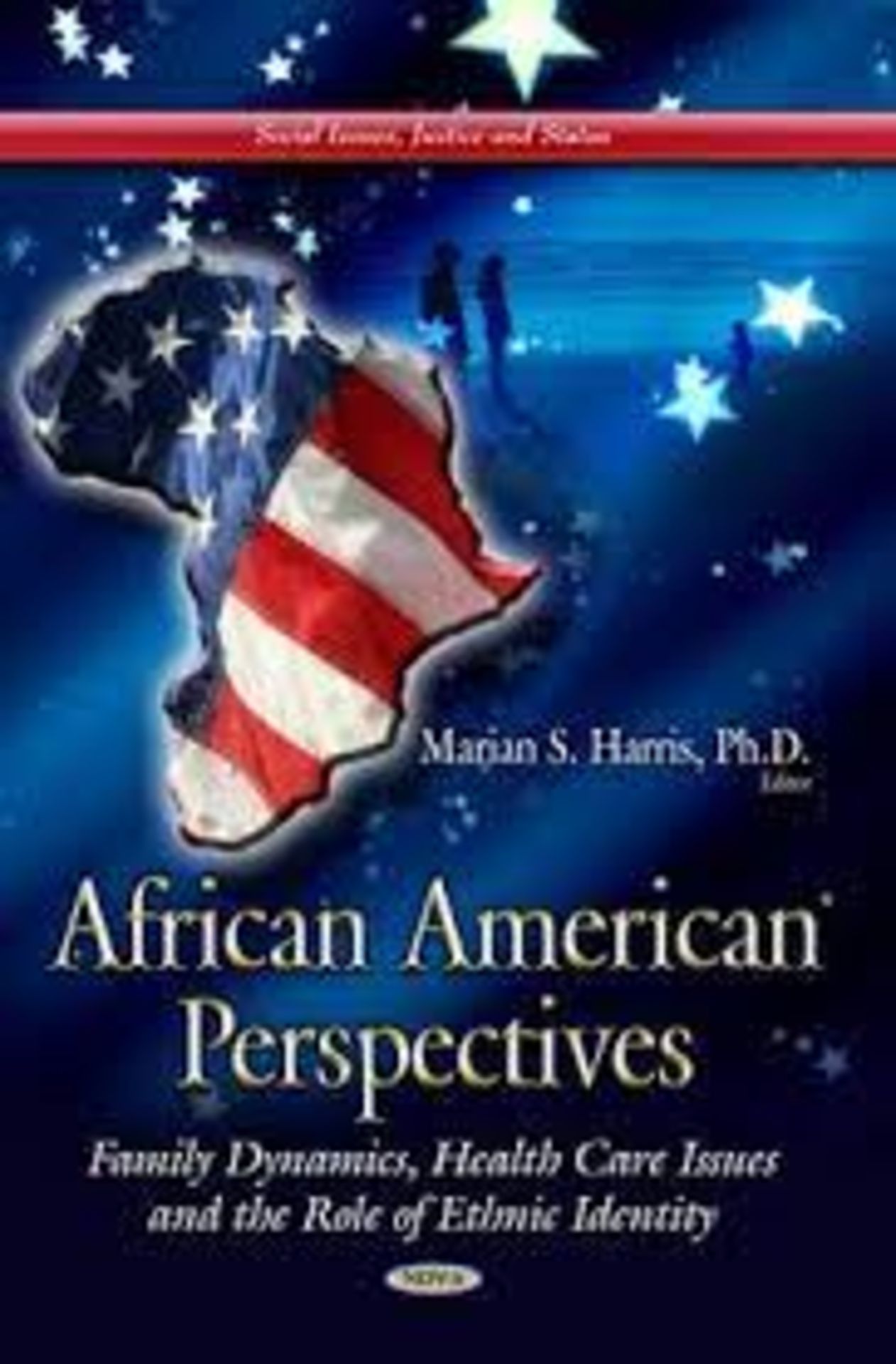 RRP £202 AFRICAN AMERICAN PERSPECTIVES FAMILY D: Family Dynamics, Health Care Issues & the Role of