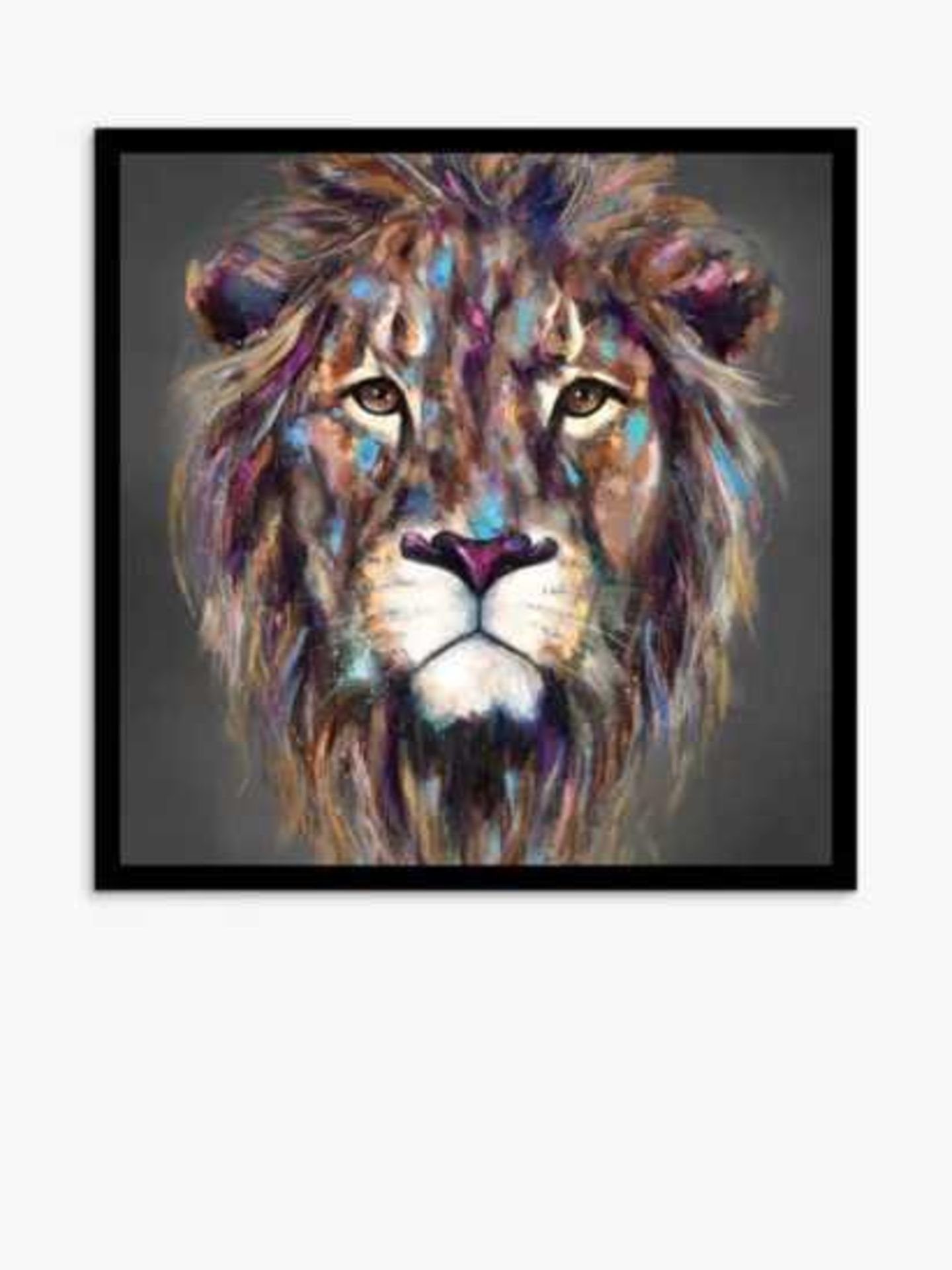 RRP £150 John Lewis Framed Lion Print