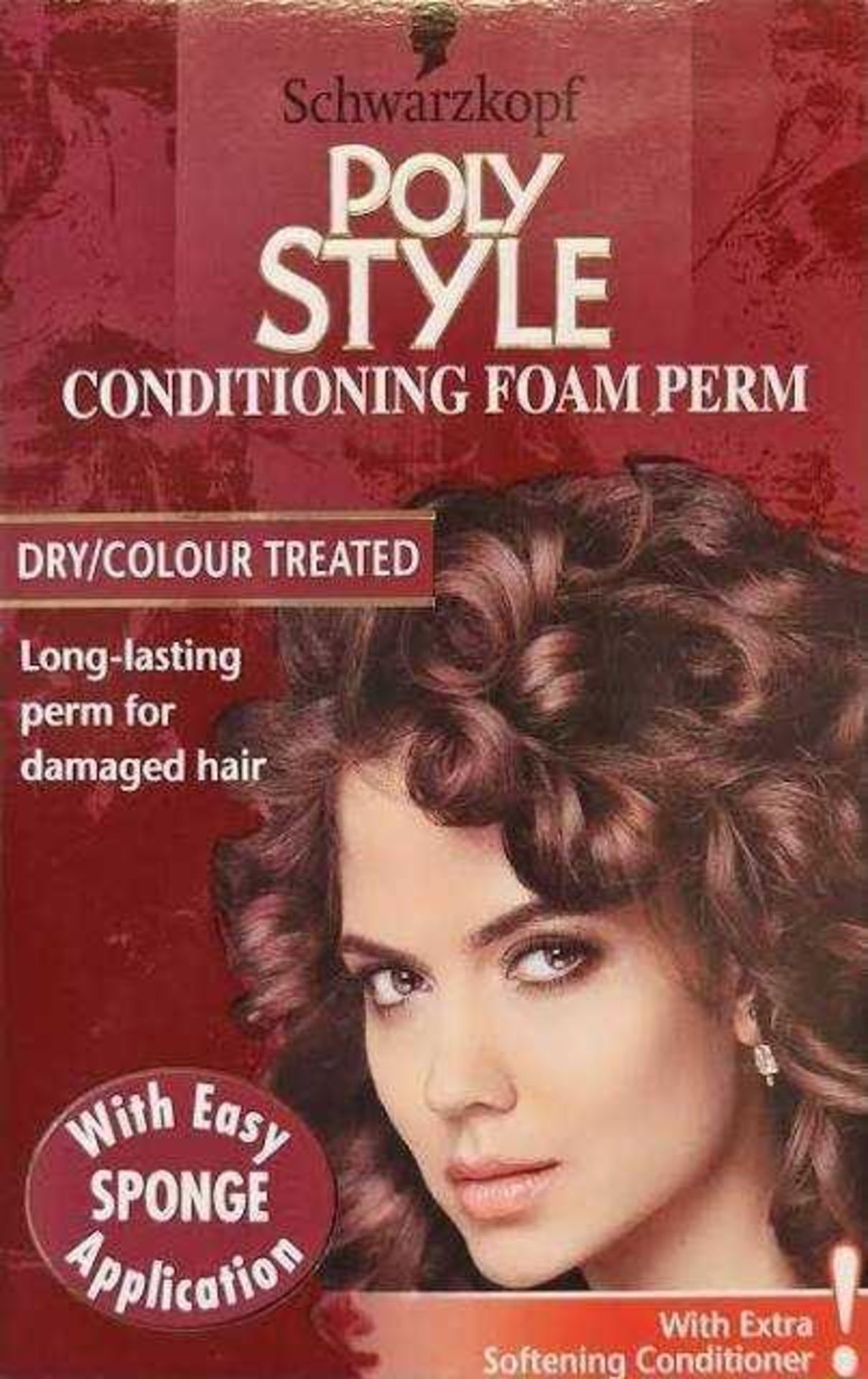 RRP £160 Brand New Schwarzkopf Poly Style Conditioning Foam