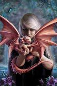RRP £200 Brand New Anne Stokes Dragonkin Framed Pictures Approx. 11