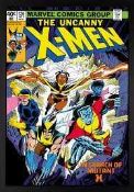 RRP £200 X13 Brand New X-Men Mutant X Framed Pictures