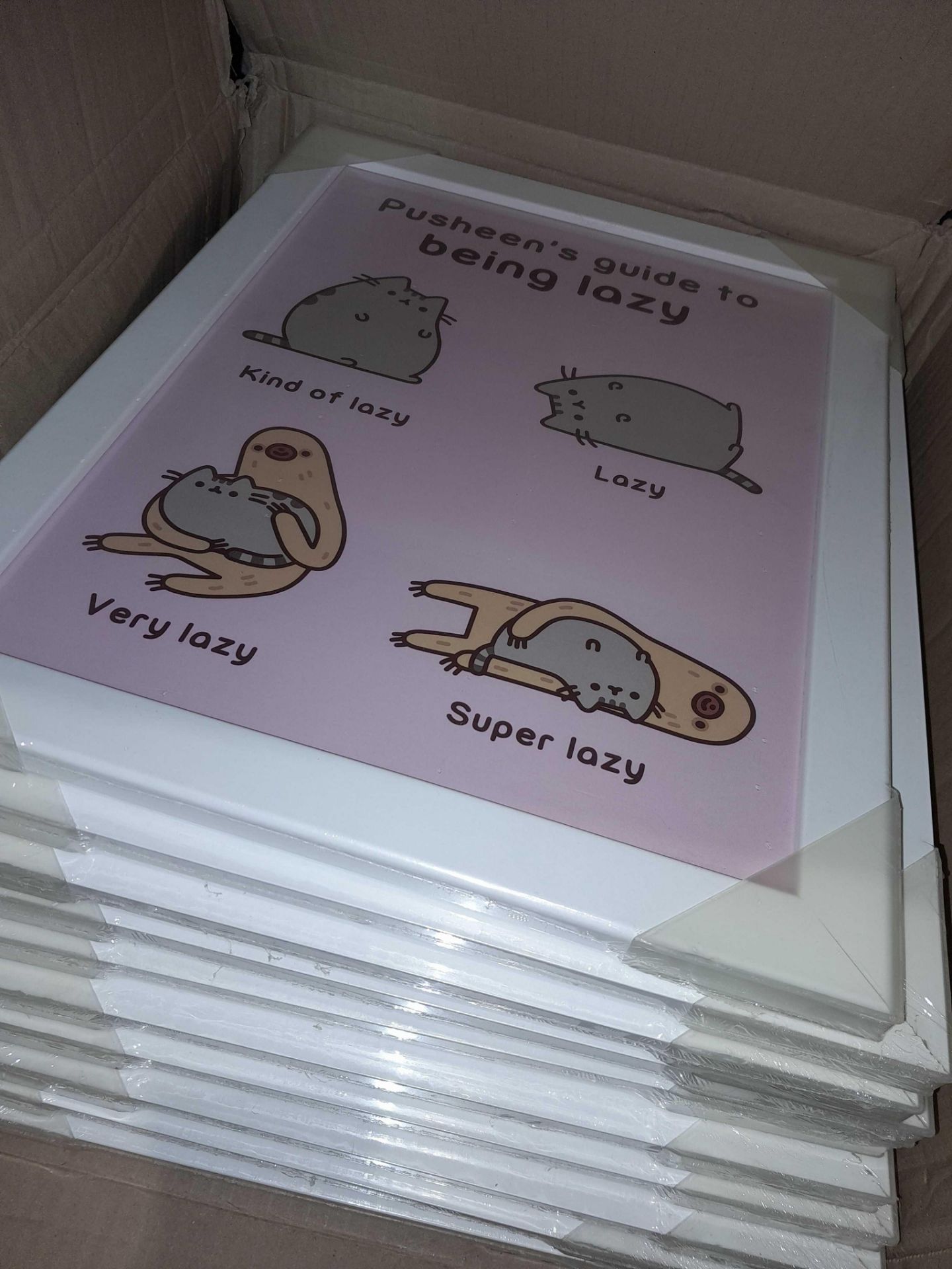 RRP £380 Lot Contains X11 Boxed Pusheen Photos(Cr1) - Image 2 of 2