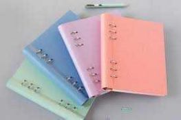 RRP £200 Brand New Assorted Filofax Diaries, Various Designs