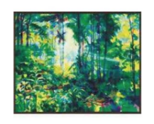 RRP £100 Brand New Framed Canvas Rainforest