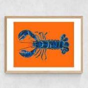 RRP £170 Packaged X2 Framed Prints Including Blue Lobster(Cr1)