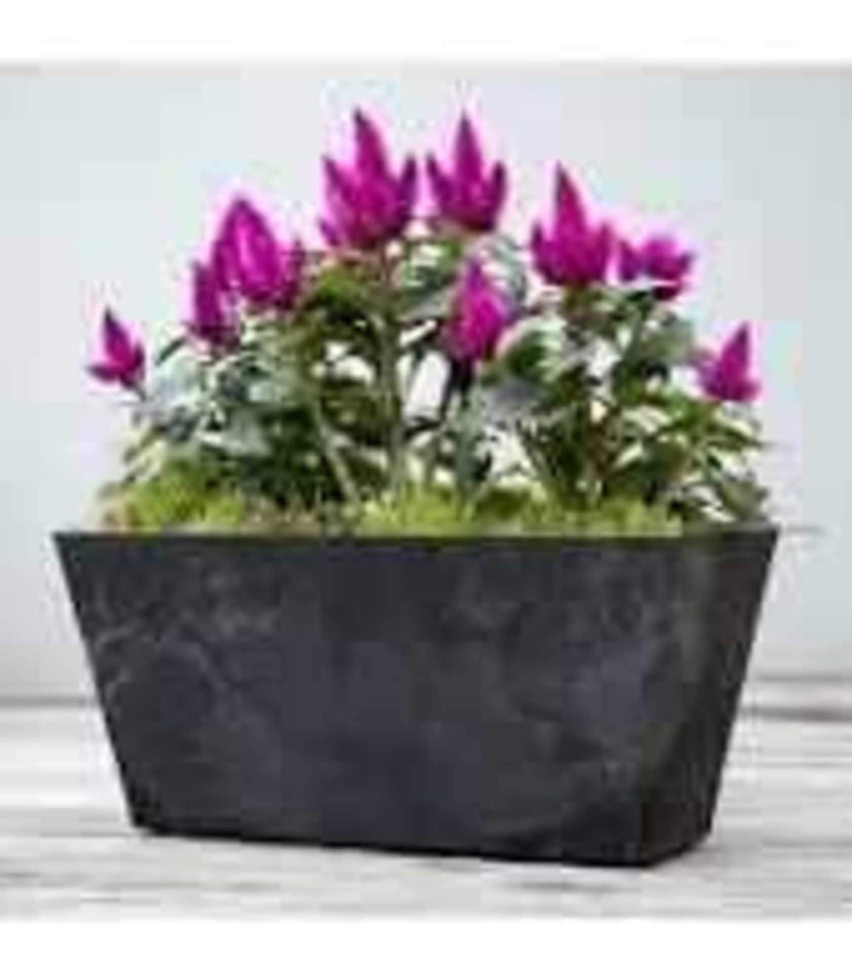 RRP £150 Boxed & Packaged X3 Items Including Ella Balcony Trough In Black(Cr2)