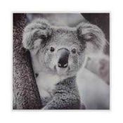 RRP £160 Unboxed X4 Items Including Koala Canvas(Cr2)