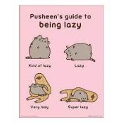 RRP £220 Brand New Pusheens Guide To Being Lazy Framed Prints