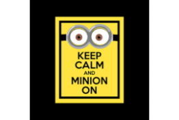 RRP £180 Brand New Assorted Prints Including Minions Keep Calm