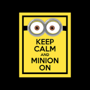 RRP £200 Brand New Assorted Prints Including Minions Keep Calm