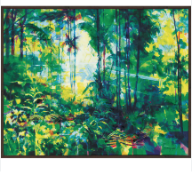 RRP £120 Brand New Tropical Forest By Doug Eaton Framed Picture