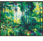 RRP £120 Brand New Tropical Forest By Doug Eaton Framed Picture