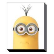 RRP £150 Brand New X2 Prints Including Despicable Me Kevin Close Up