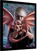 RRP £200 Brand New Dragonkin Framed Pictures By Anne Stokes