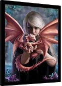 RRP £200 Brand New Dragonkin By Anne Stokes Framed Prints