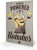 RRP £200 Brand New Assorted Prints/Canvases Including Despicable Me Powered By Bananas