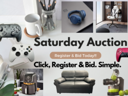 TIMED - Saturday Mega Auction!!!  4th November 2023