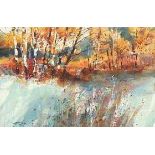 RRP £200 Brand New Canvases Including Frost & Autumn Birches By Chris Forsey
